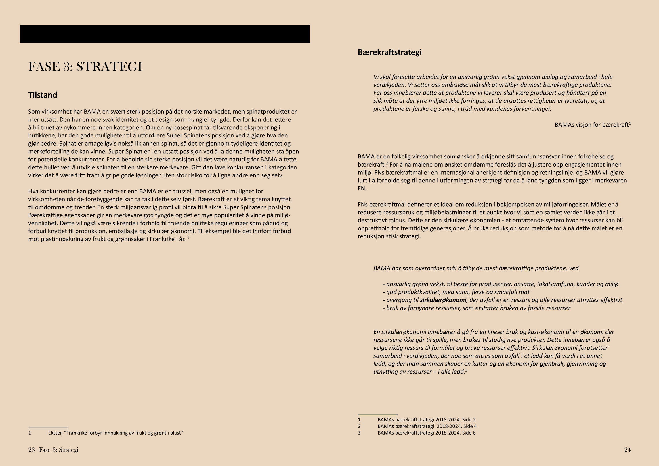 spinatrapport oppslag